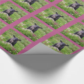 Papier cadeau Baa Baa Black Sheep (Coin)