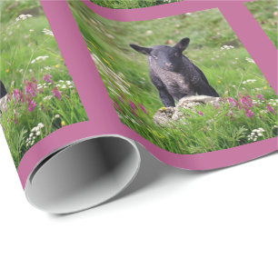Papier cadeau Baa Baa Black Sheep