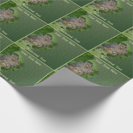 Papier Cadeau Baby Robin Jeune Oiseau Nature Personnalisée (Coin)