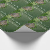 Papier Cadeau Baby Robin Jeunes Oiseaux Nature (Coin)