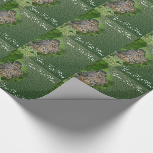 Papier Cadeau Baby Robin Jeunes Oiseaux Nature (Coin)