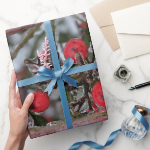 Papier Cadeau Baies Gelées sur une Branche d'Arbre Photo
