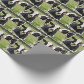 Papier Cadeau Baiser de vache Holstein (Coin)