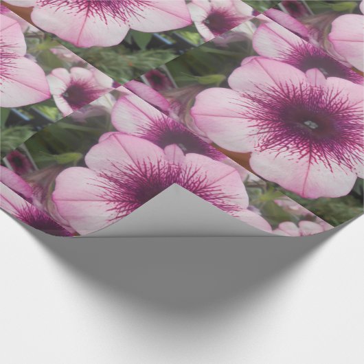 Papier Cadeau Baisers (Coin)