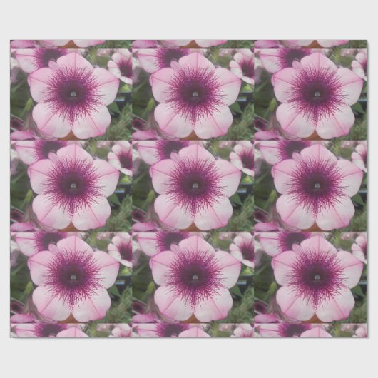 Papier Cadeau Baisers (Plat)