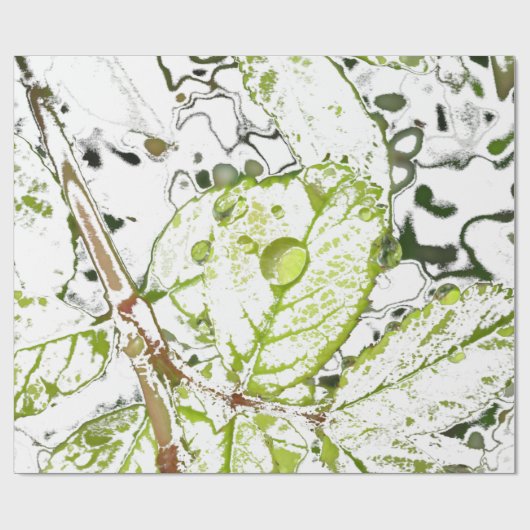 Papier Cadeau Baisse de rosée (Plat)