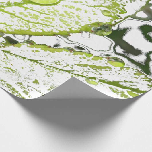 Papier Cadeau Baisse de rosée (Coin)