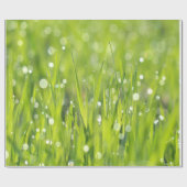 Papier Cadeau Baisses de rosée sur l'herbe (Plat)