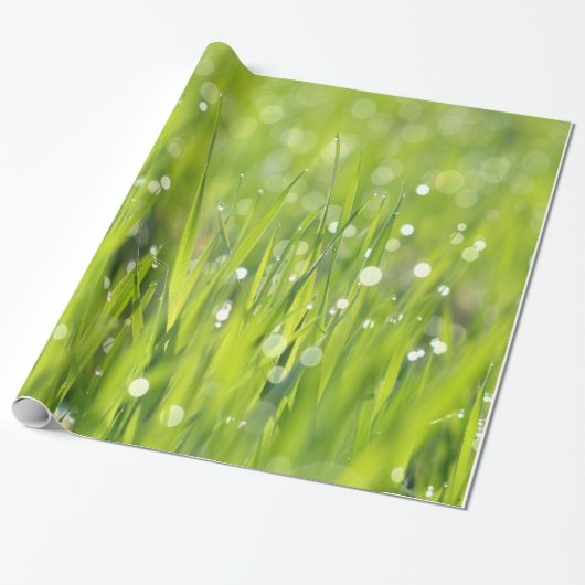 Papier Cadeau Baisses de rosée sur l'herbe (Déroulé)