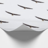 Papier Cadeau Bald Eagle en vol (Coin)