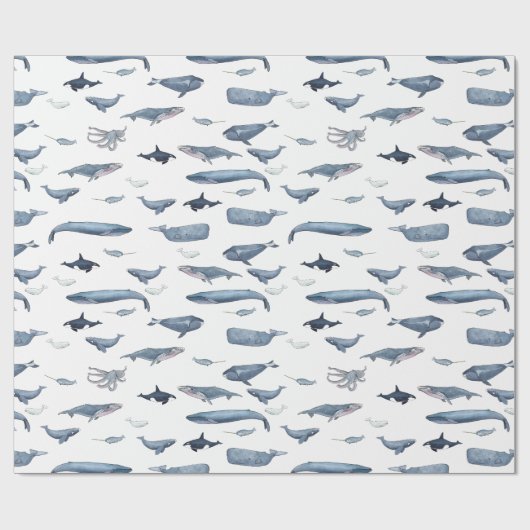 Papier Cadeau Baleines (Plat)