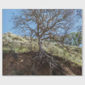 Papier Cadeau Bare tree on mountain during day (Plat)