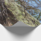 Papier Cadeau Bare tree on mountain during day (Coin)