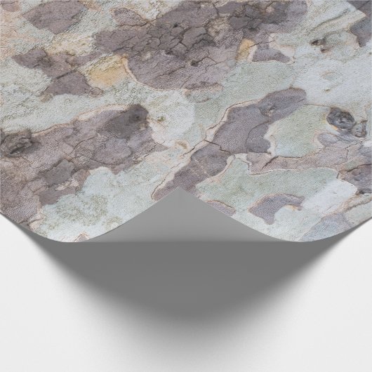 Papier Cadeau Bark of plane tree (Coin)