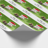 Papier Cadeau Baseball pour Noël (Coin)