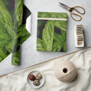 Papier Cadeau Basilic