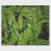Papier Cadeau Basilic (Plat)