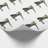 Papier Cadeau Basket (Coin)