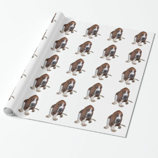 Papier Cadeau Basset Hound