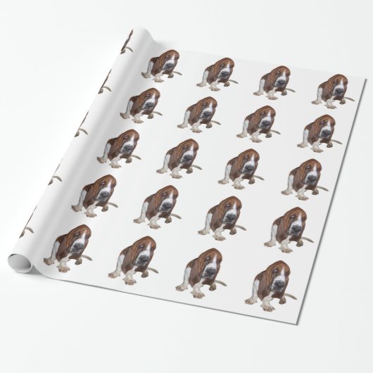 Papier Cadeau Basset Hound (Déroulé)