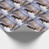 Papier Cadeau Basset Hound Laisser neiger Noël (Coin)