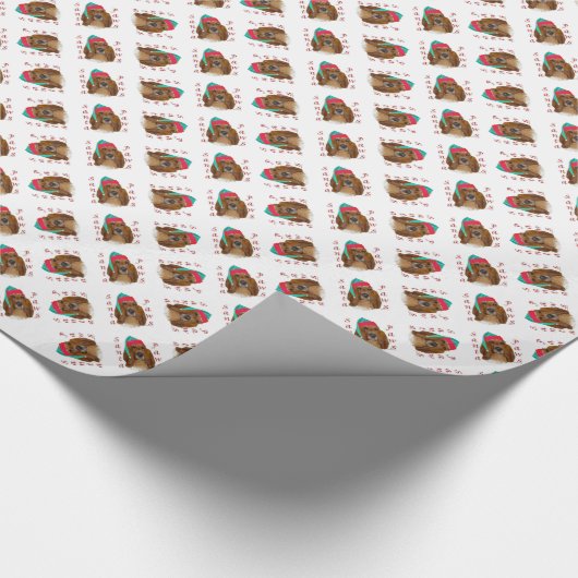 Papier Cadeau Basset Hound Père Noël Paws (Coin)