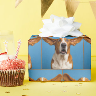 Papier Cadeau Basset Hound surpris