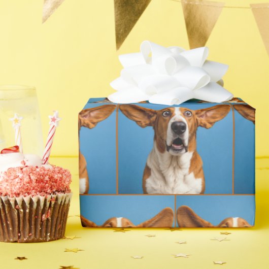 Papier Cadeau Basset Hound surpris (Fête d'anniversaire)