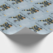 Papier Cadeau Bassin Anniversaire Sur Glace (Coin)