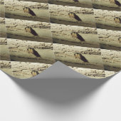 Papier Cadeau Bat (Coin)