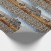 Papier Cadeau Bataille Des Bucks (Coin)