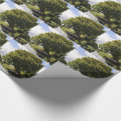 Papier Cadeau Bateaux à canaux (Coin)