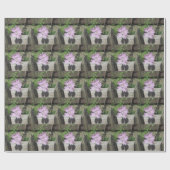 Papier Cadeau Bath Dianthus (Plat)