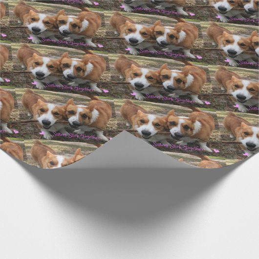 Papier Cadeau Bâton de soeurs ensemble (Coin)