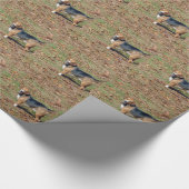 Papier Cadeau Beagle (Coin)