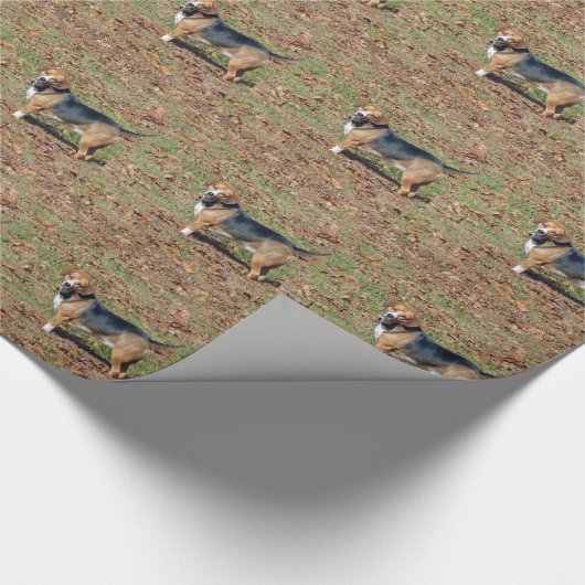 Papier Cadeau Beagle (Coin)
