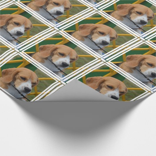 Papier Cadeau Beagle aimable (Coin)