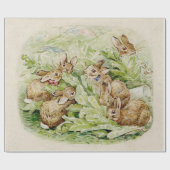 Papier Cadeau Beatrix Potter Cute Bunny (Plat)