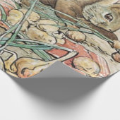 Papier Cadeau Beatrix Potter Peter Rabbit et Benjamin Bunny (Coin)
