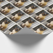 Papier Cadeau Beau Bluepoint (Coin)
