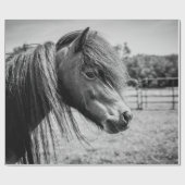 PAPIER CADEAU BEAU CHEVAL (Plat)