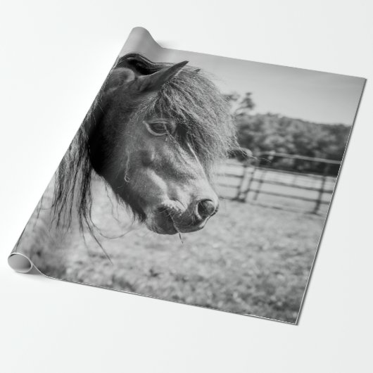 PAPIER CADEAU BEAU CHEVAL (Déroulé)