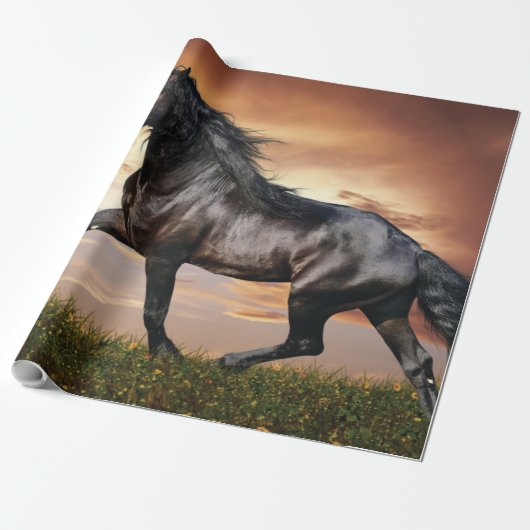 Papier Cadeau Beau Cheval Noir (Déroulé)