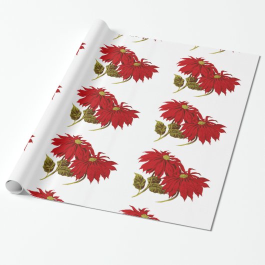 Papier Cadeau Beau dessin rouge de poinsettia (Déroulé)