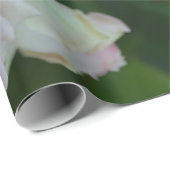 Papier Cadeau Beau jardin rose clair roses (Coin rond)