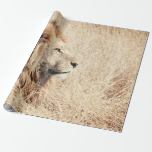 PAPIER CADEAU BEAU LION
