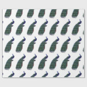 Papier Cadeau Beau paon (Plat)