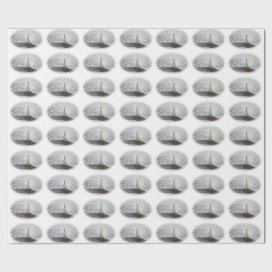 Papier Cadeau Beau Peacock Blanc (Plat)