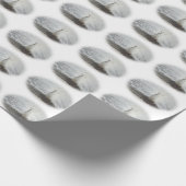 Papier Cadeau Beau Peacock Blanc (Coin)