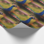 Papier Cadeau Beau Peacock photo papier enveloppant (Coin)